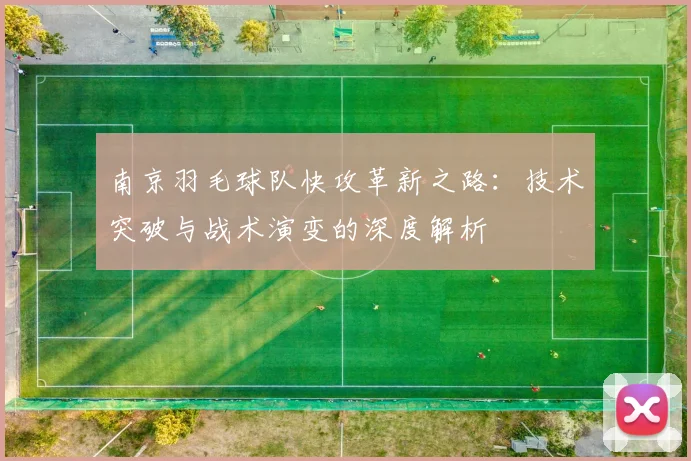 南京羽毛球队快攻革新之路：技术突破与战术演变的深度解析