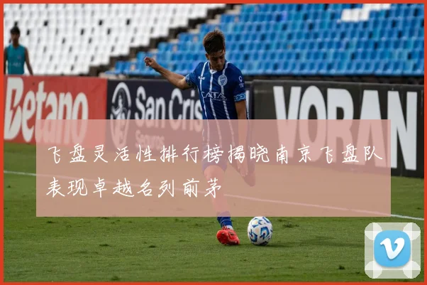 飞盘灵活性排行榜揭晓南京飞盘队表现卓越名列前茅