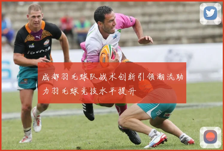成都羽毛球队战术创新引领潮流助力羽毛球竞技水平提升